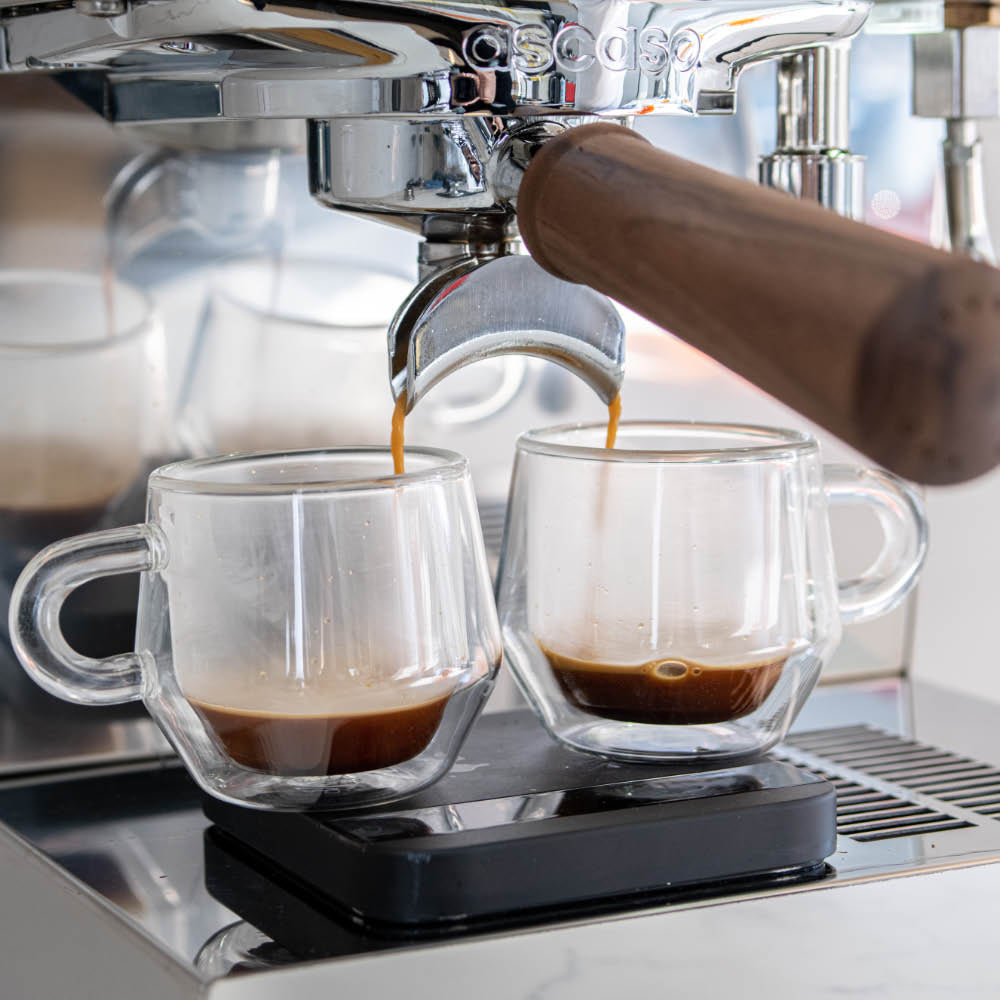 Ascaso Steel DUO PID Espresso Machine – Dual Thermoblock, Programmable, 120V (White)